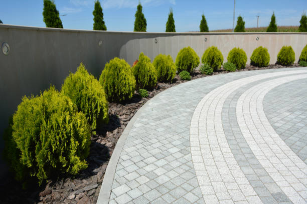 Best Professional Driveway Pavers  in Cortland, NY